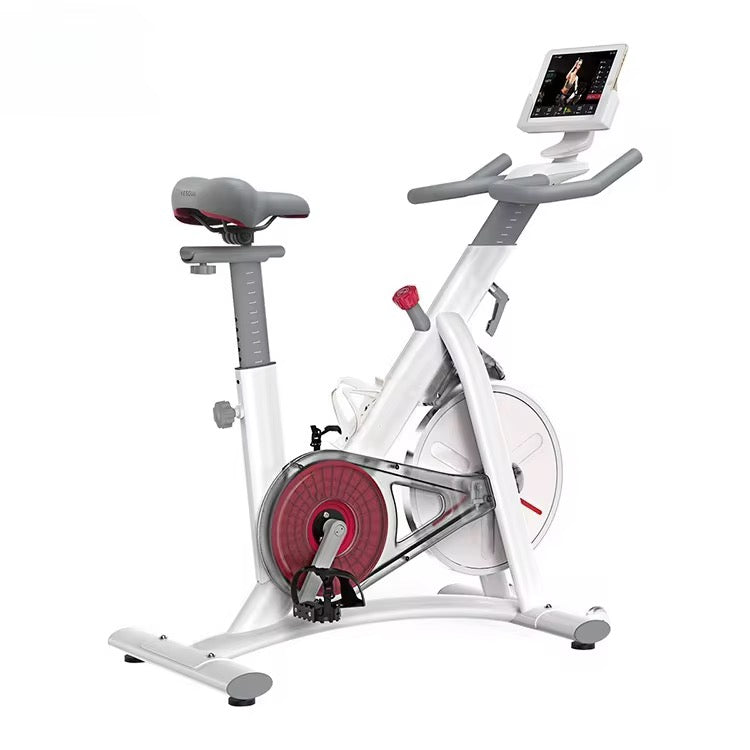 Vélo d'intérieur B555